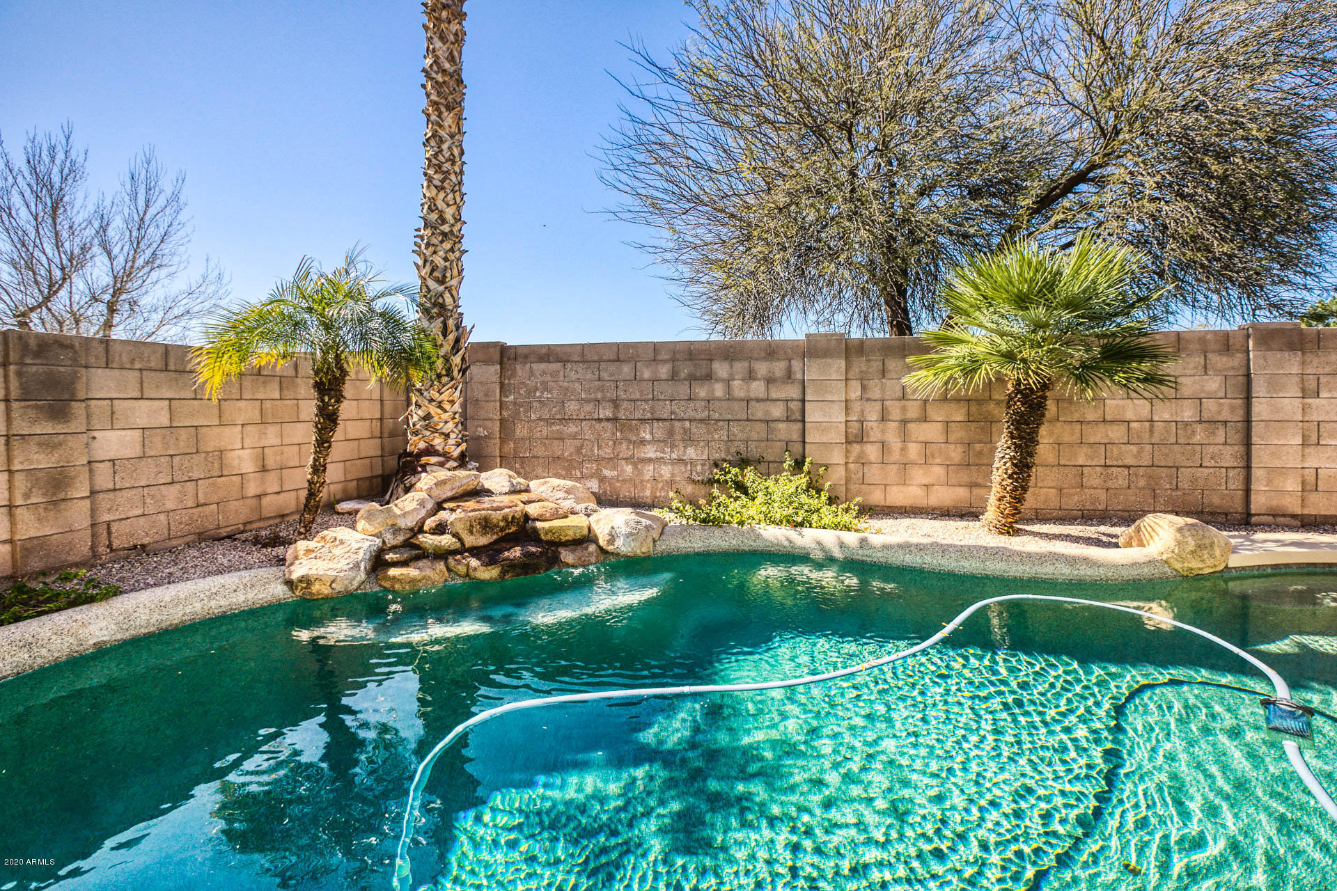 1450 Poinciana Road Gilbert, AZ 85234 - Photo 28 of 39 3A9A0660