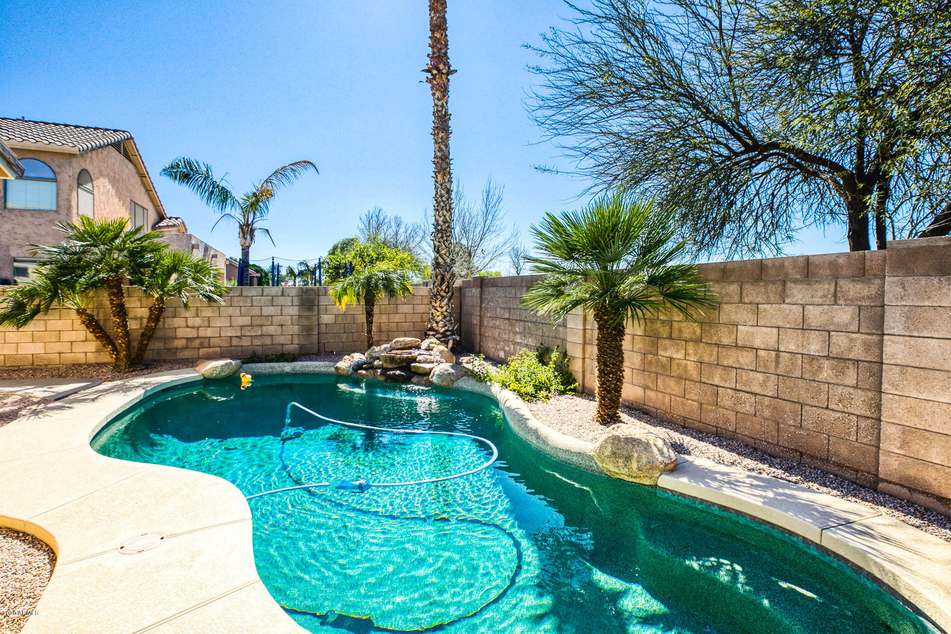 1450 Poinciana Road Gilbert, AZ 85234 - Photo 30 of 39 3A9A0666