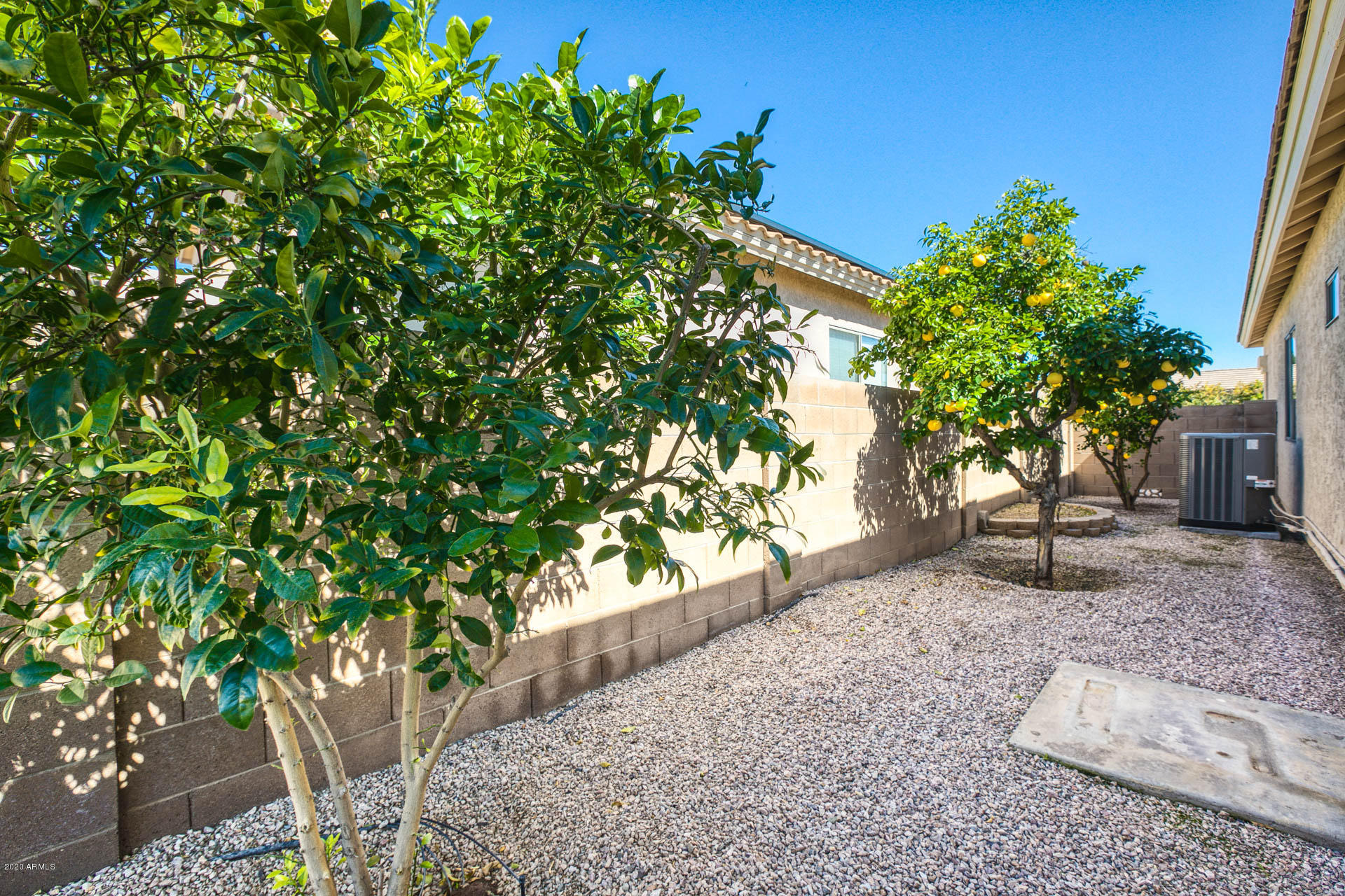 1450 Poinciana Road Gilbert, AZ 85234 - Photo 32 of 39 3A9A0672