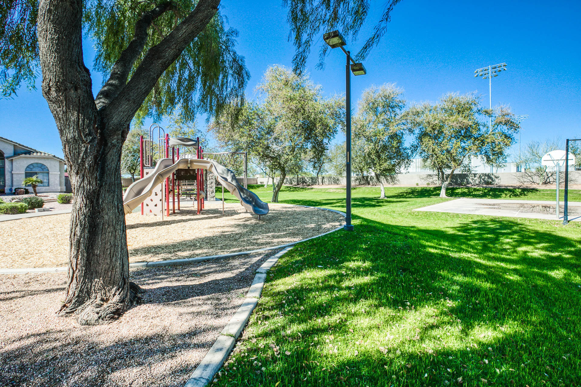 1450 Poinciana Road Gilbert, AZ 85234 - Photo 38 of 39 3A9A0786
