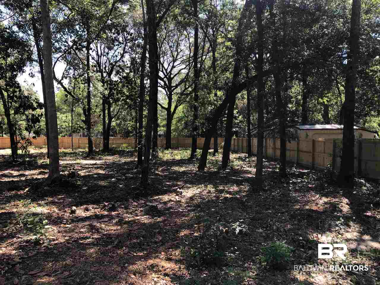 10 7th Street Lillian, AL 36549 - Photo 1 of 6