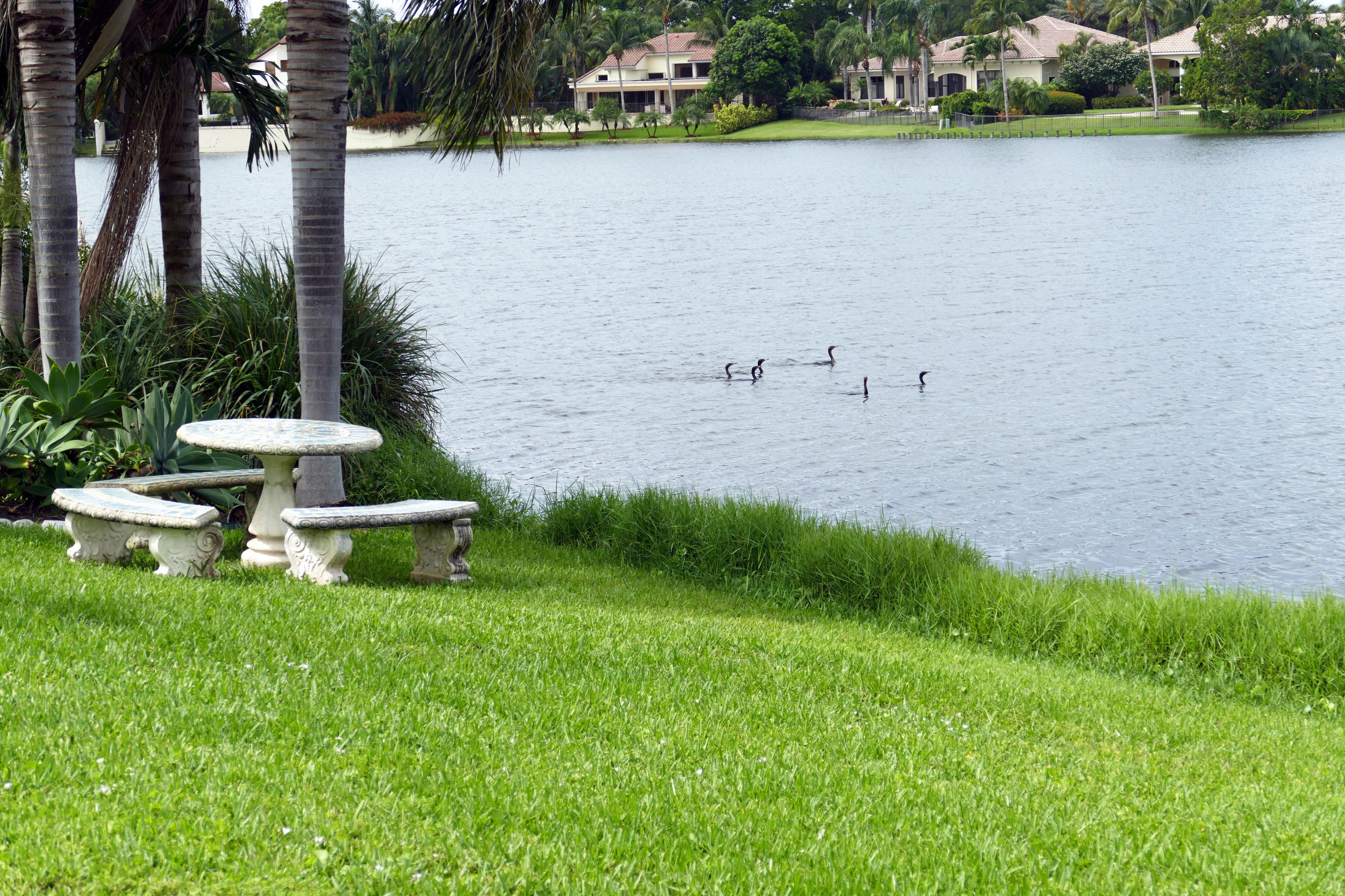 17391 Springtree Lane Boca Raton, FL 33487 - Photo 31 of 39 Lake View
