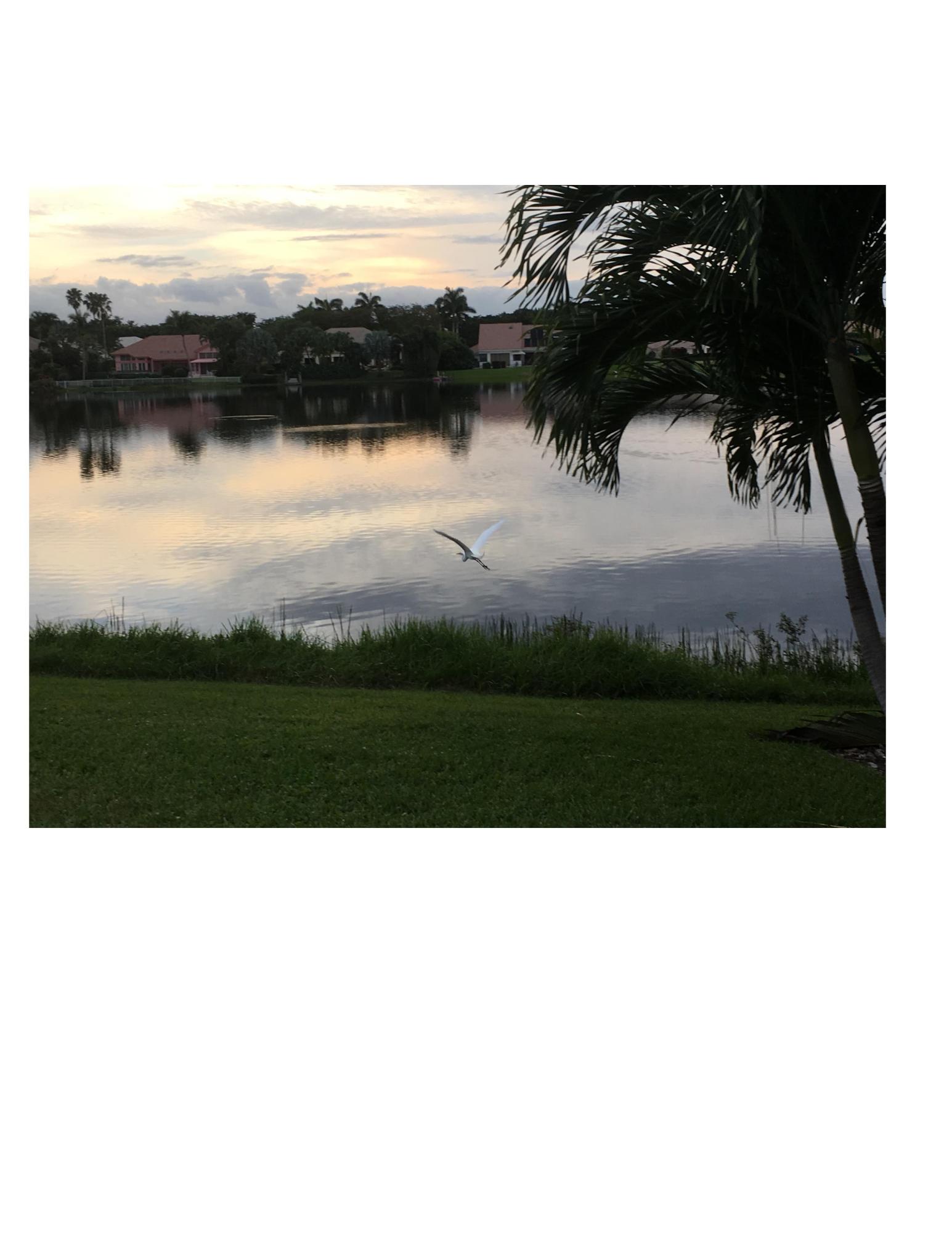 17391 Springtree Lane Boca Raton, FL 33487 - Photo 7 of 39 Bird on Lake