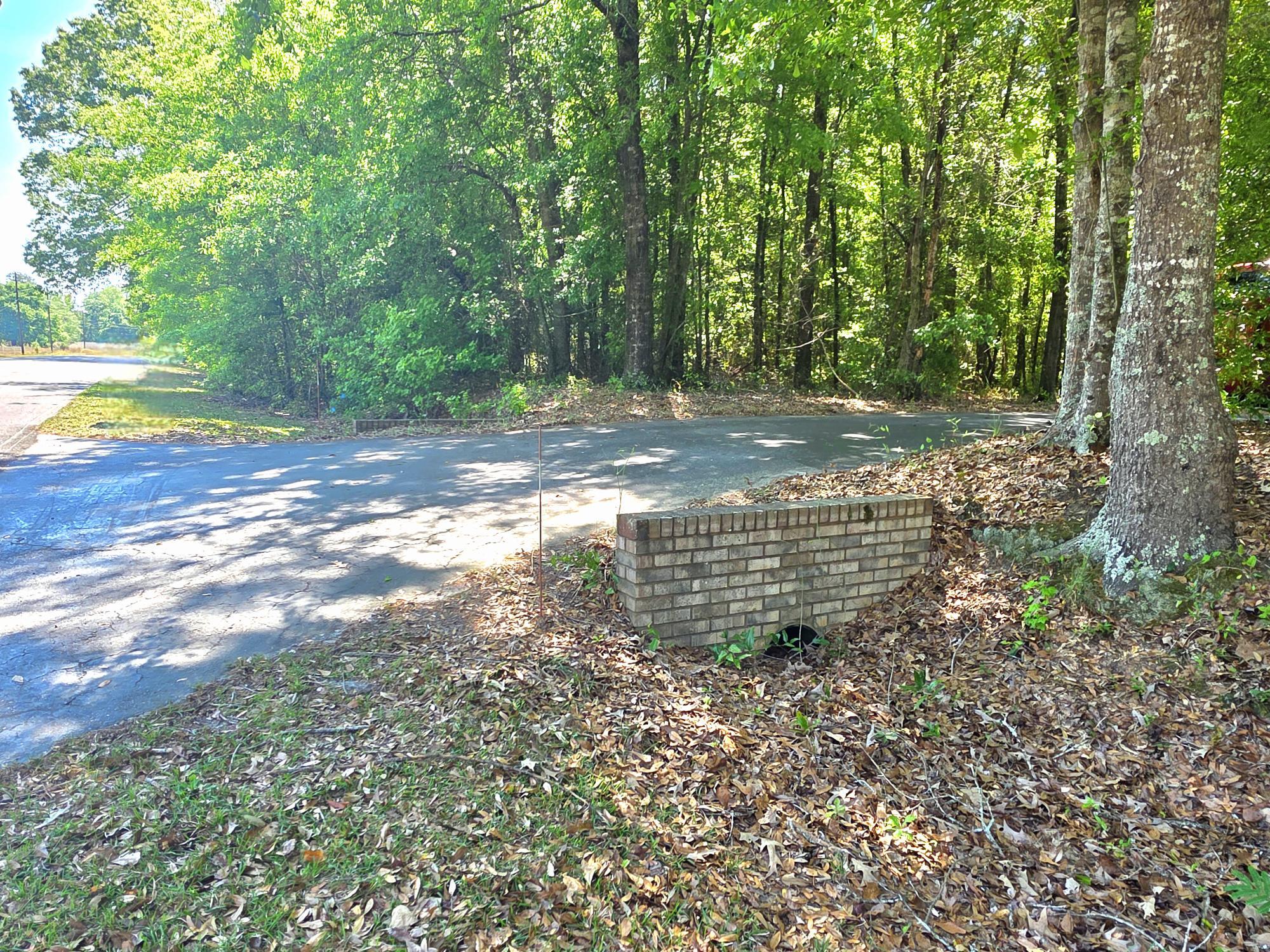 335 West Sheppard Street Stapleton, GA 30823 - Photo 45 of 50 20260414_115743