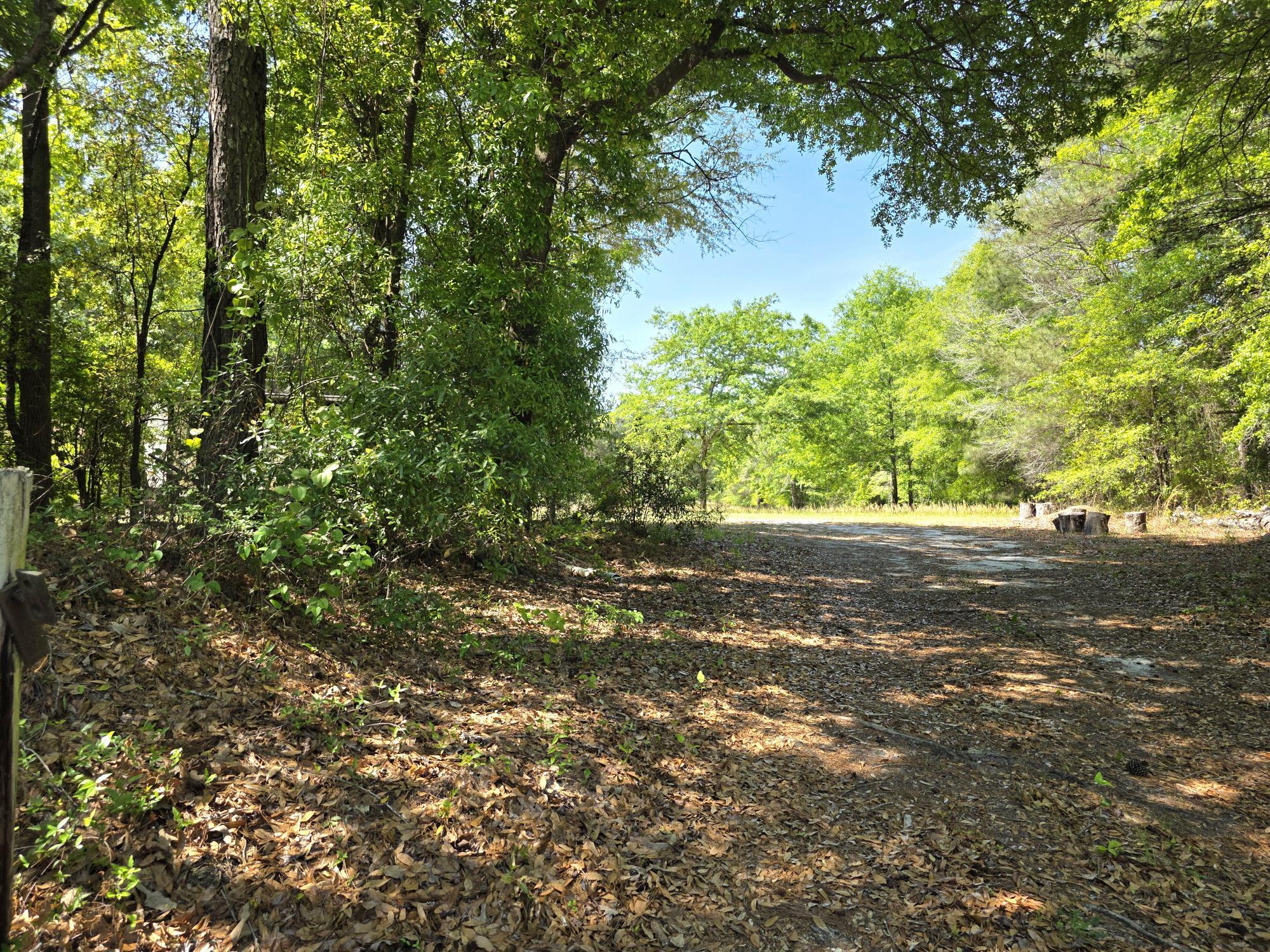 335 West Sheppard Street Stapleton, GA 30823 - Photo 46 of 50 20260414_115719