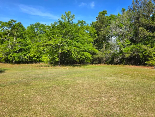 $365,000 | 335 West Sheppard Street, Stapleton, GA 30823