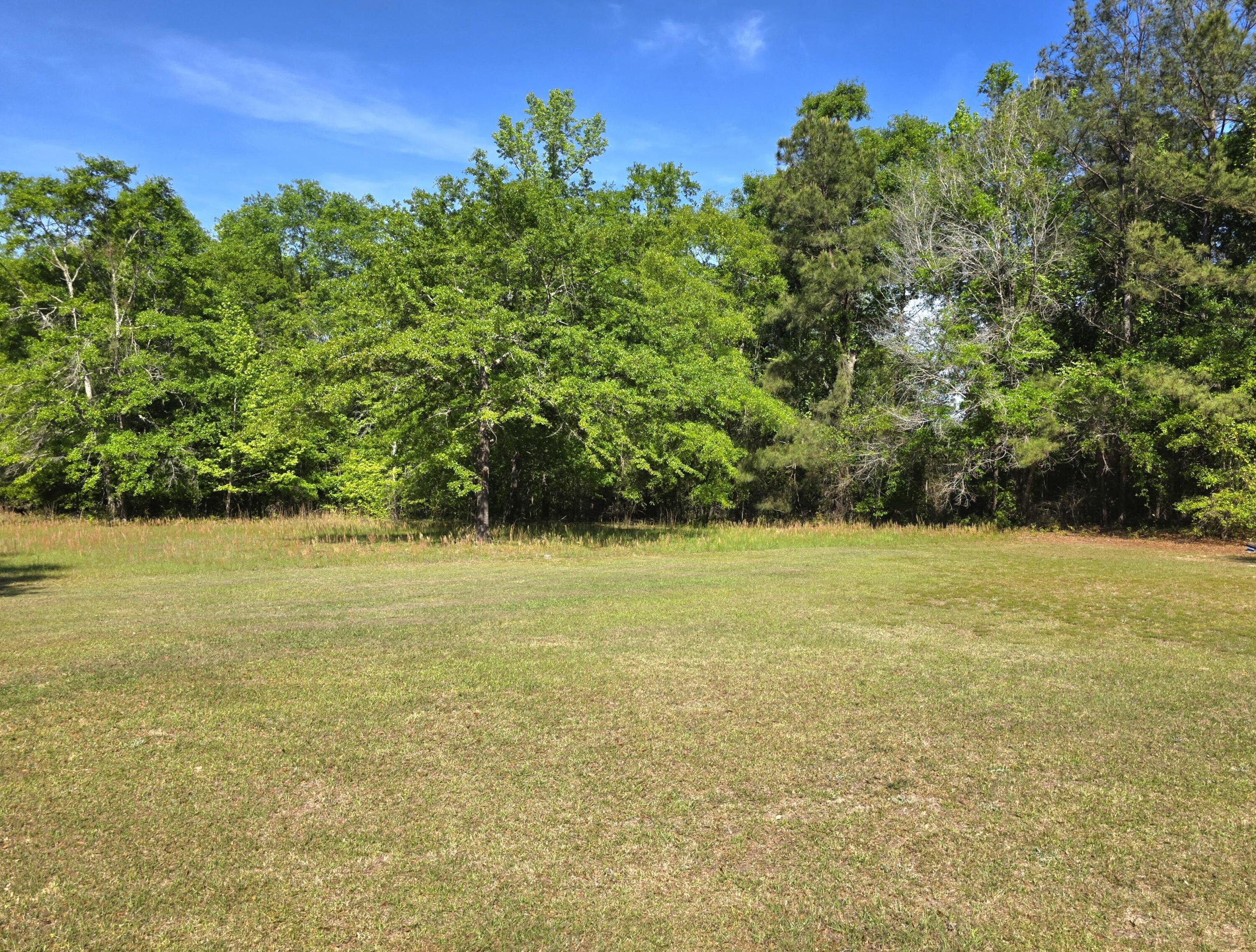 335 West Sheppard Street Stapleton, GA 30823 - Photo 47 of 50 20260414_110302