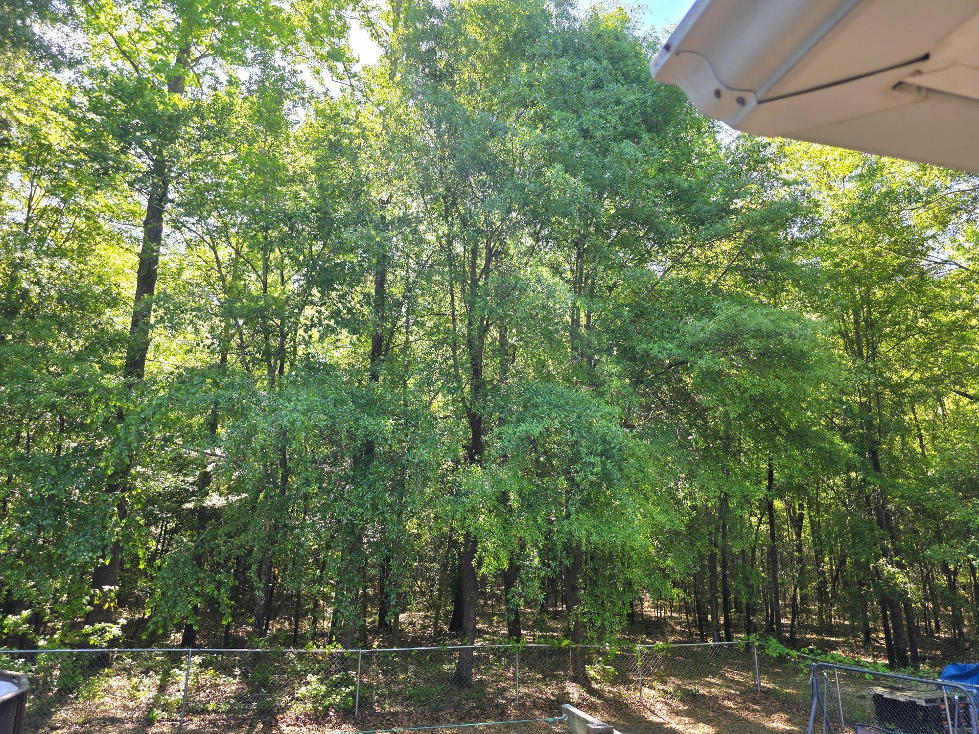 335 West Sheppard Street Stapleton, GA 30823 - Photo 49 of 50 20260414_110152