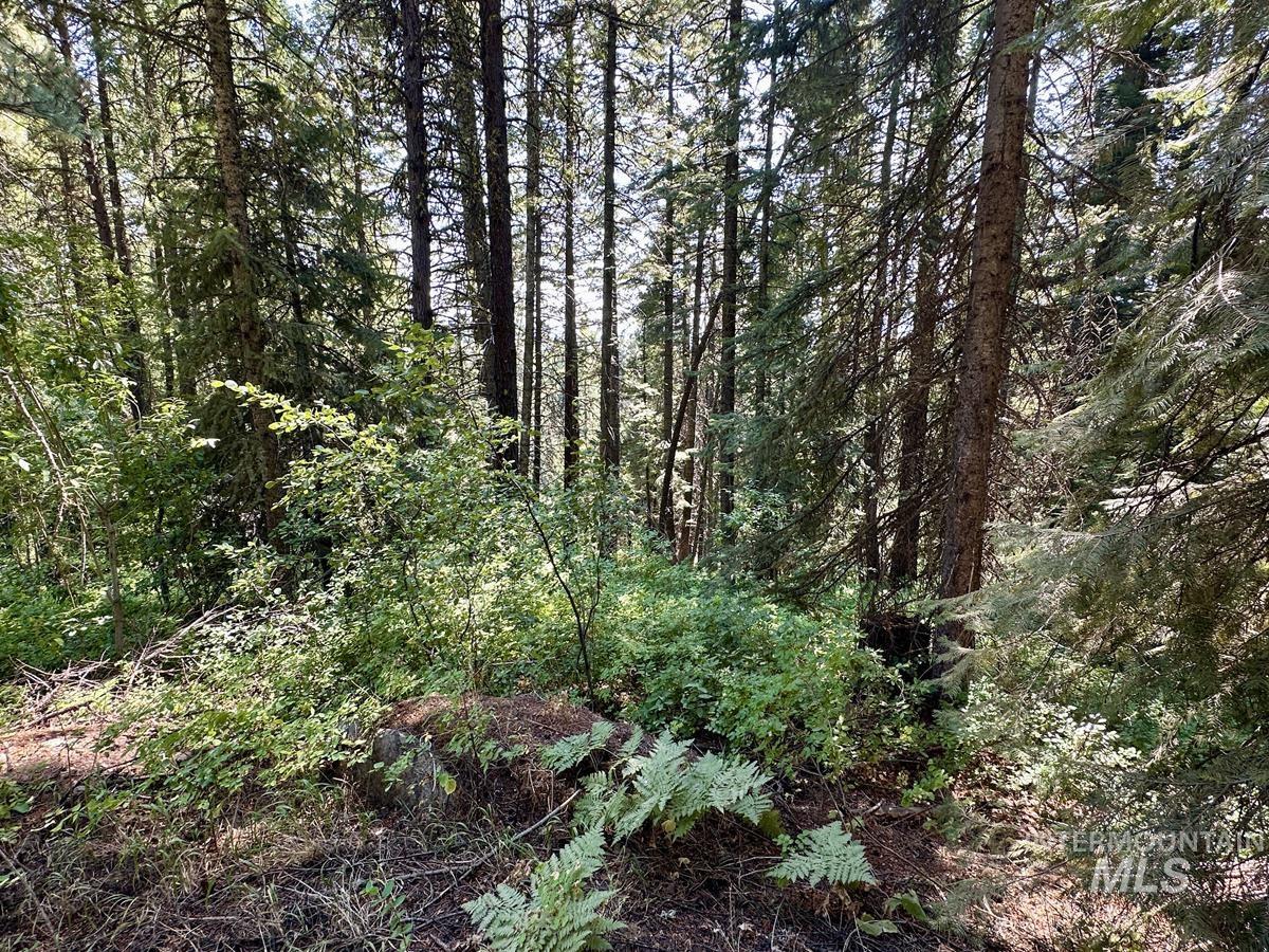 37 Arling Trail Cascade, ID 83611 - Photo 4 of 16 Towering Mature Trees