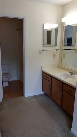 a room with a sink and a mirror