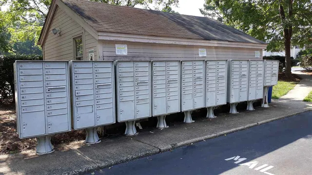 a view of a back yard