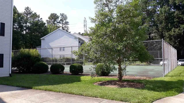 a view of a benches sitting below a tree