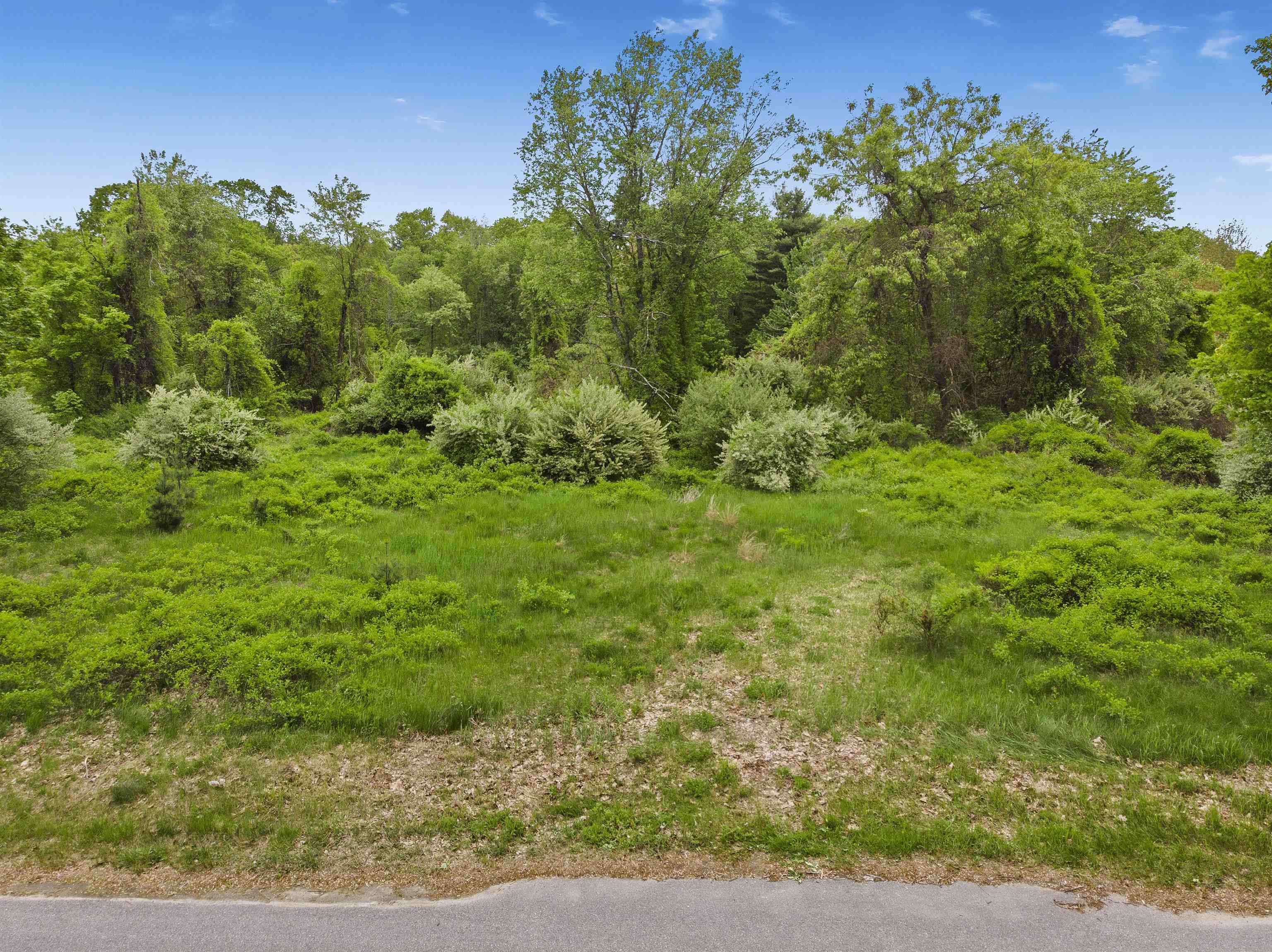 103 Mack Hill Road Amherst, NH 03031 - Photo 3 of 22