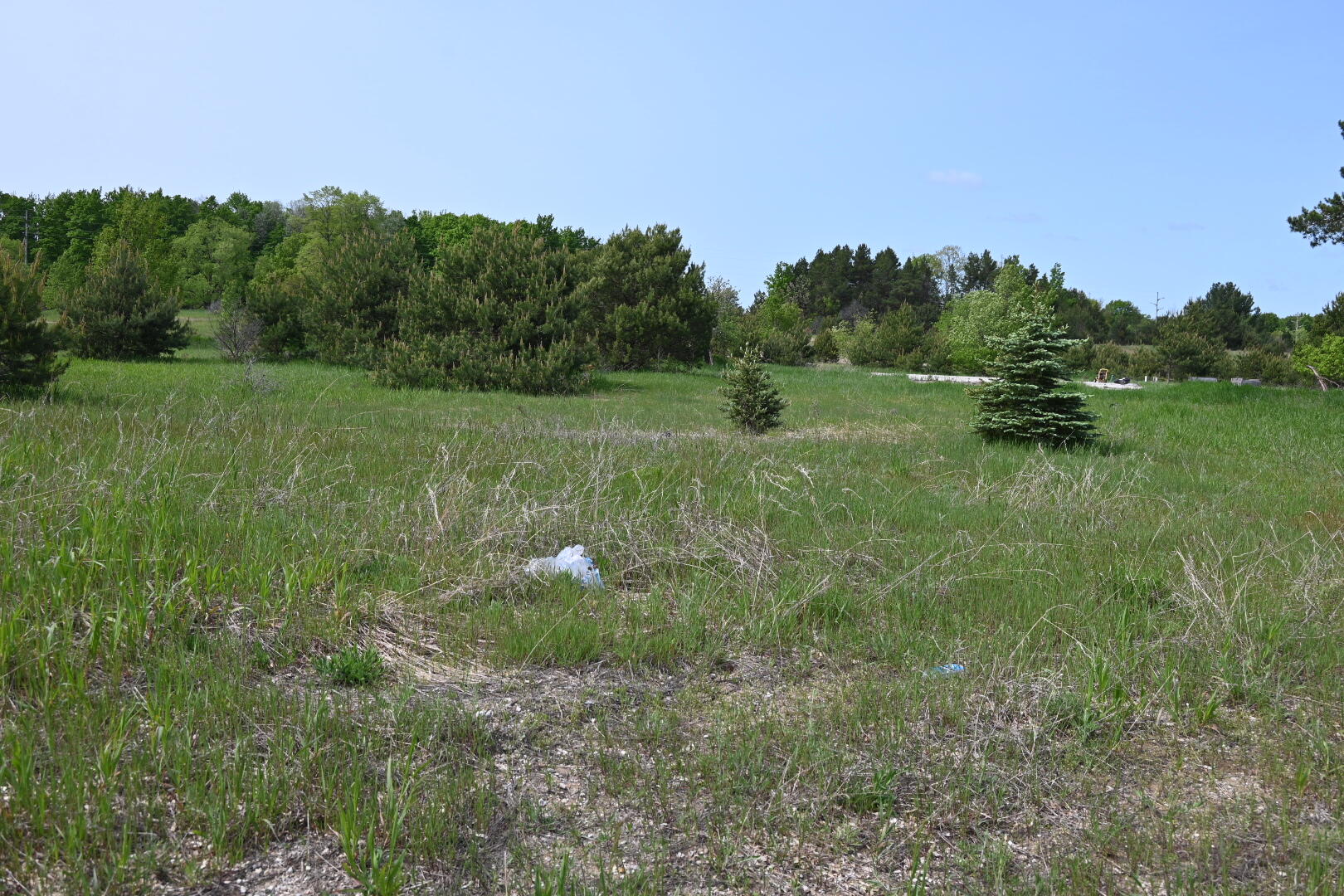 936 Motz Road Southwest Kalkaska, MI 49646 - Photo 3 of 8 DSC_0757