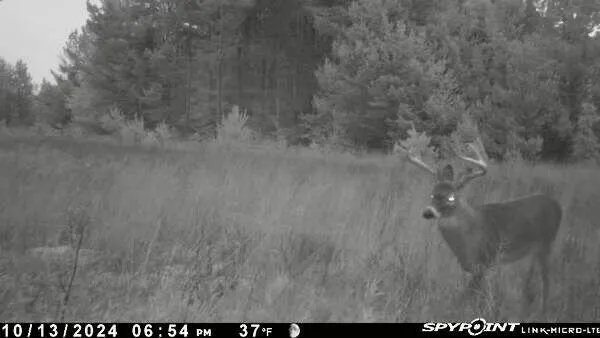 $55,000 | 936 Motz Road Southwest, Kalkaska, MI 49646