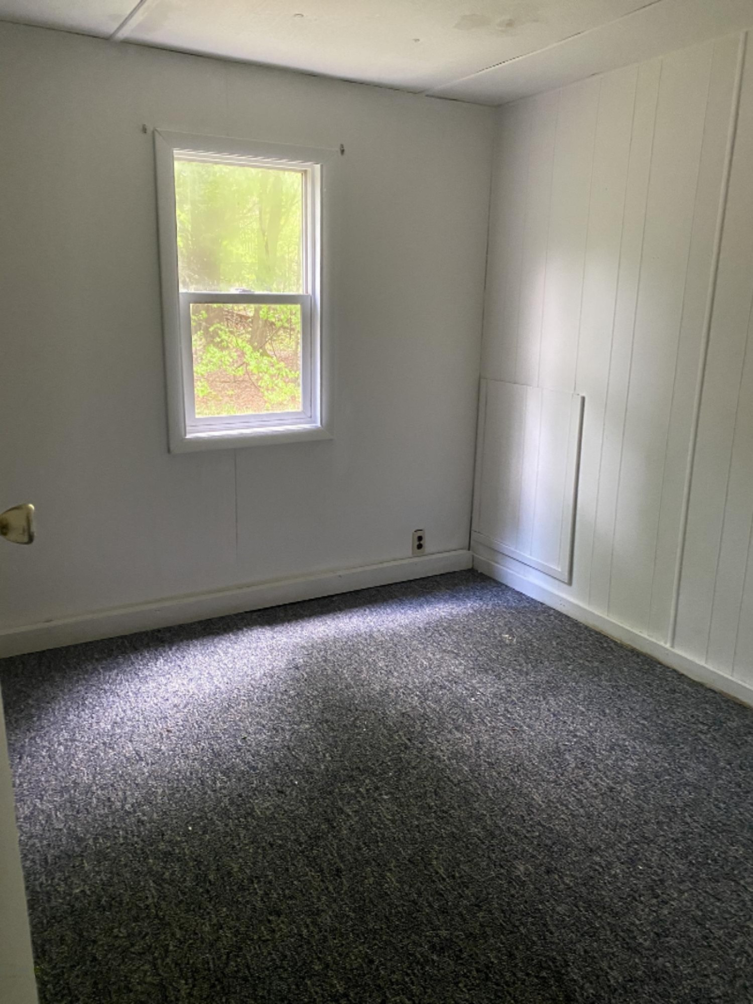 3232 East Loop Road Hesperia, MI 49421 - Photo 8 of 14 IMG_3914