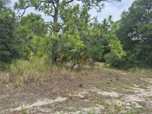 $525,000 | 1626 Highway 301, Sumterville, FL 33585