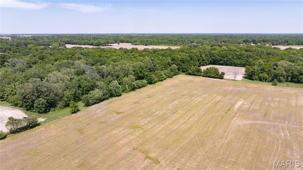 2 County Line Road Brighton, IL 62012 - Photo 9 of 12
