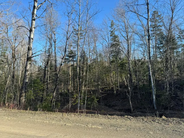 $35,000 | 0 Youngs Lake Road, Westfield, ME 04787