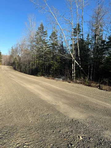 $35,000 | 0 Youngs Lake Road, Westfield, ME 04787