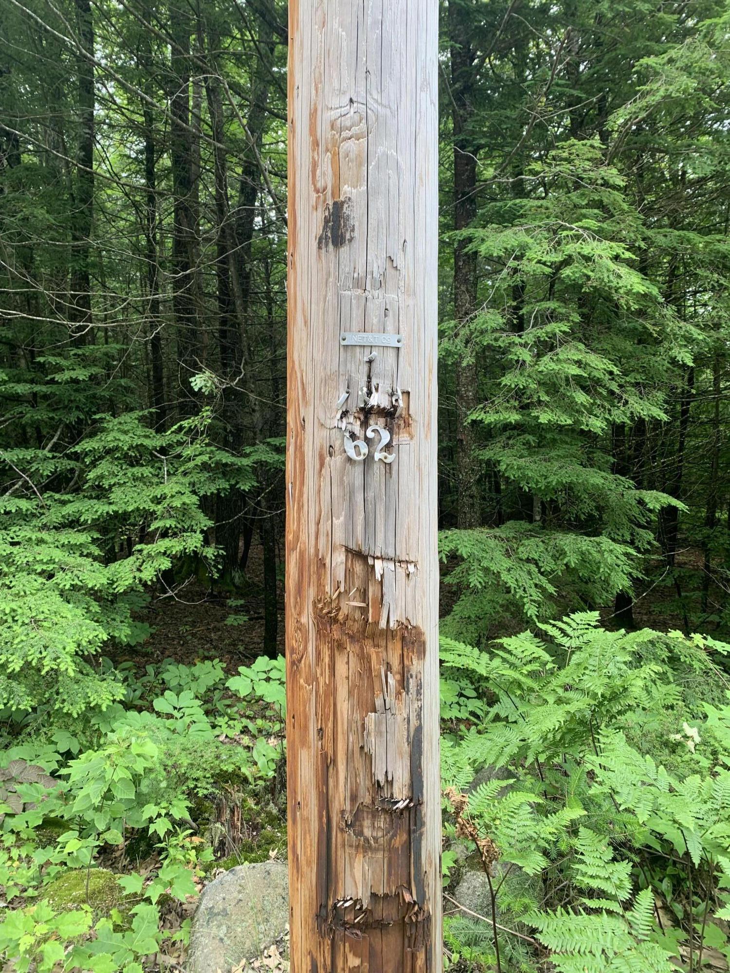 15 Bridgton Road Harrison, ME 04040 - Photo 15 of 16 EASTERN POLE