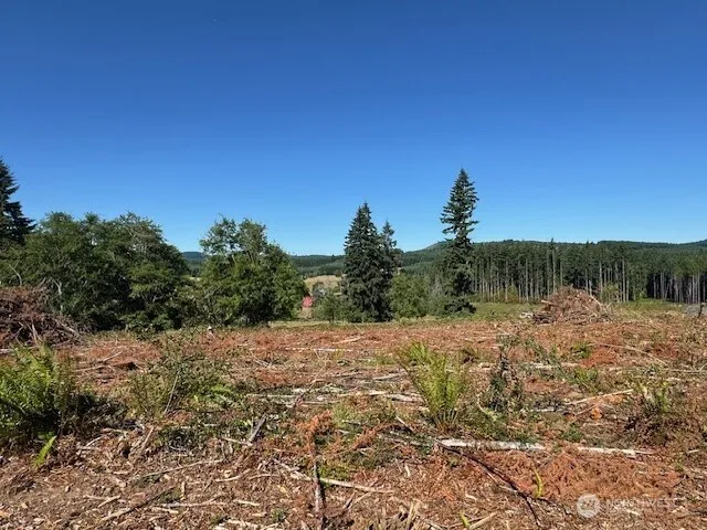 $189,000 | 0 Nelson Road, Winlock, WA 98596