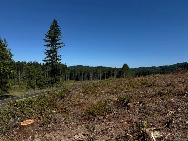 a view of a yard with a tree
