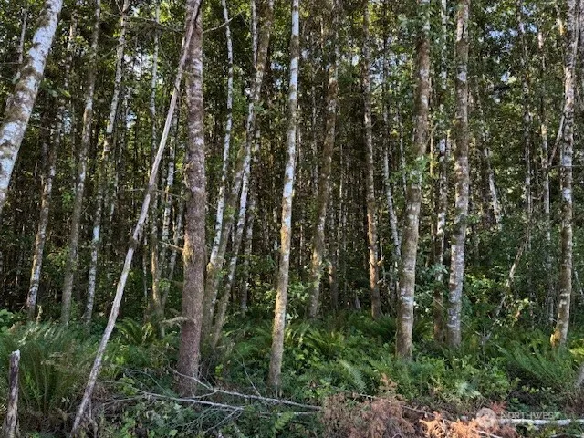 a view of snow on a field