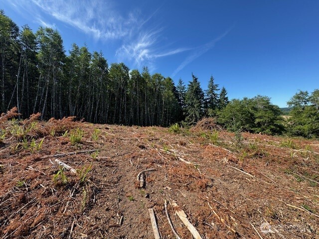 0 Nelson Road Winlock, WA 98596 - Photo 14 of 18 a view of snow on a field