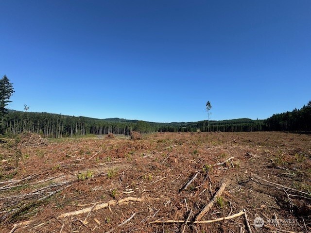 0 Nelson Road Winlock, WA 98596 - Photo 16 of 18 a view of lake and mountain