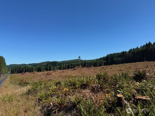 0 Nelson Road Winlock, WA 98596 - Photo 5 of 18 a view of mountain with lake view