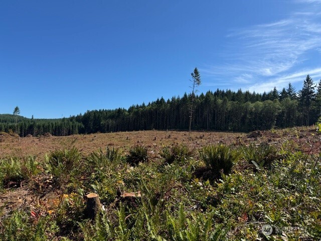 0 Nelson Road Winlock, WA 98596 - Photo 9 of 18 a view of a lake