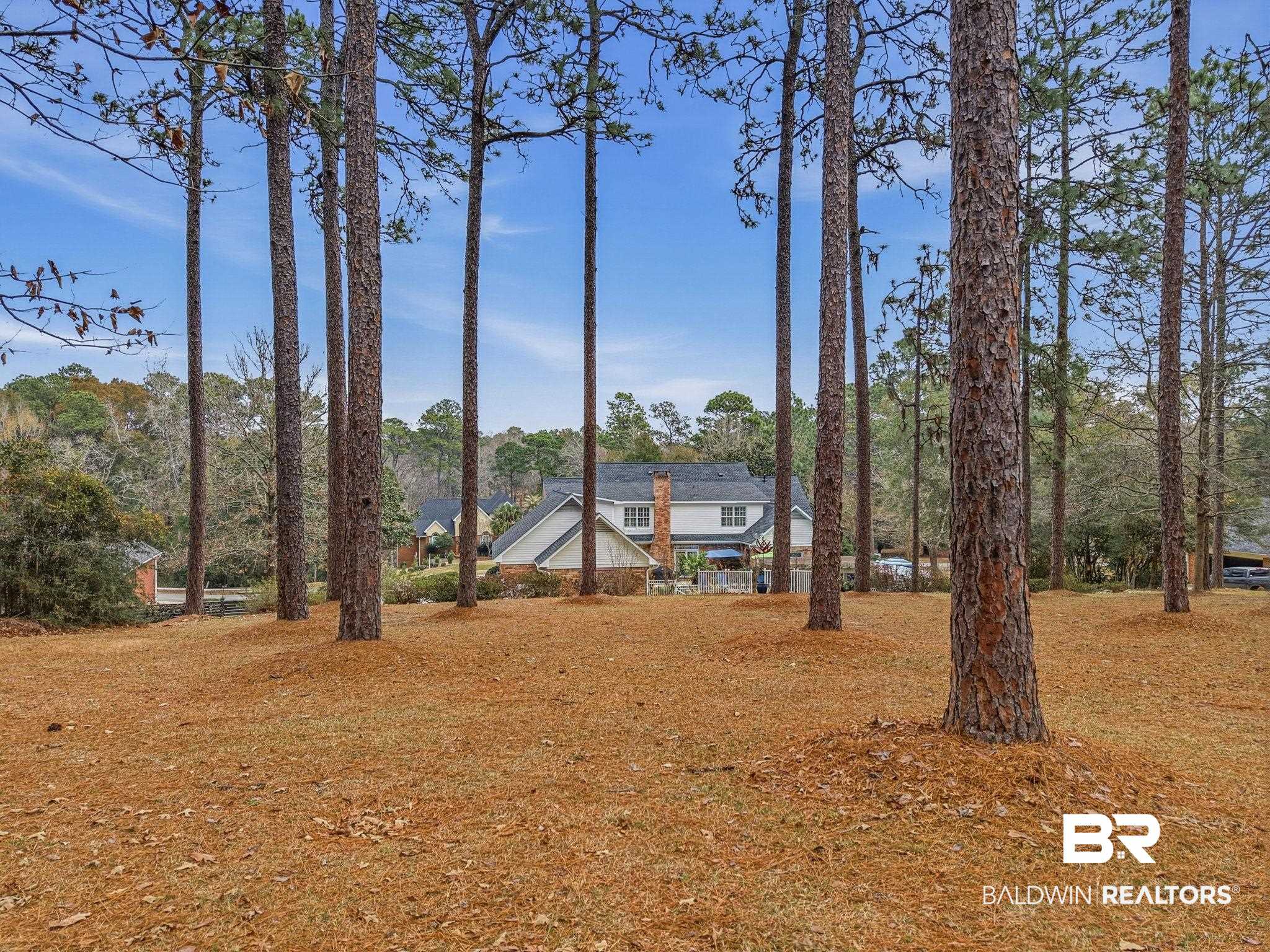 31515 Rhett Drive Spanish Fort, AL 36527 - Photo 100 of 100 Backyard