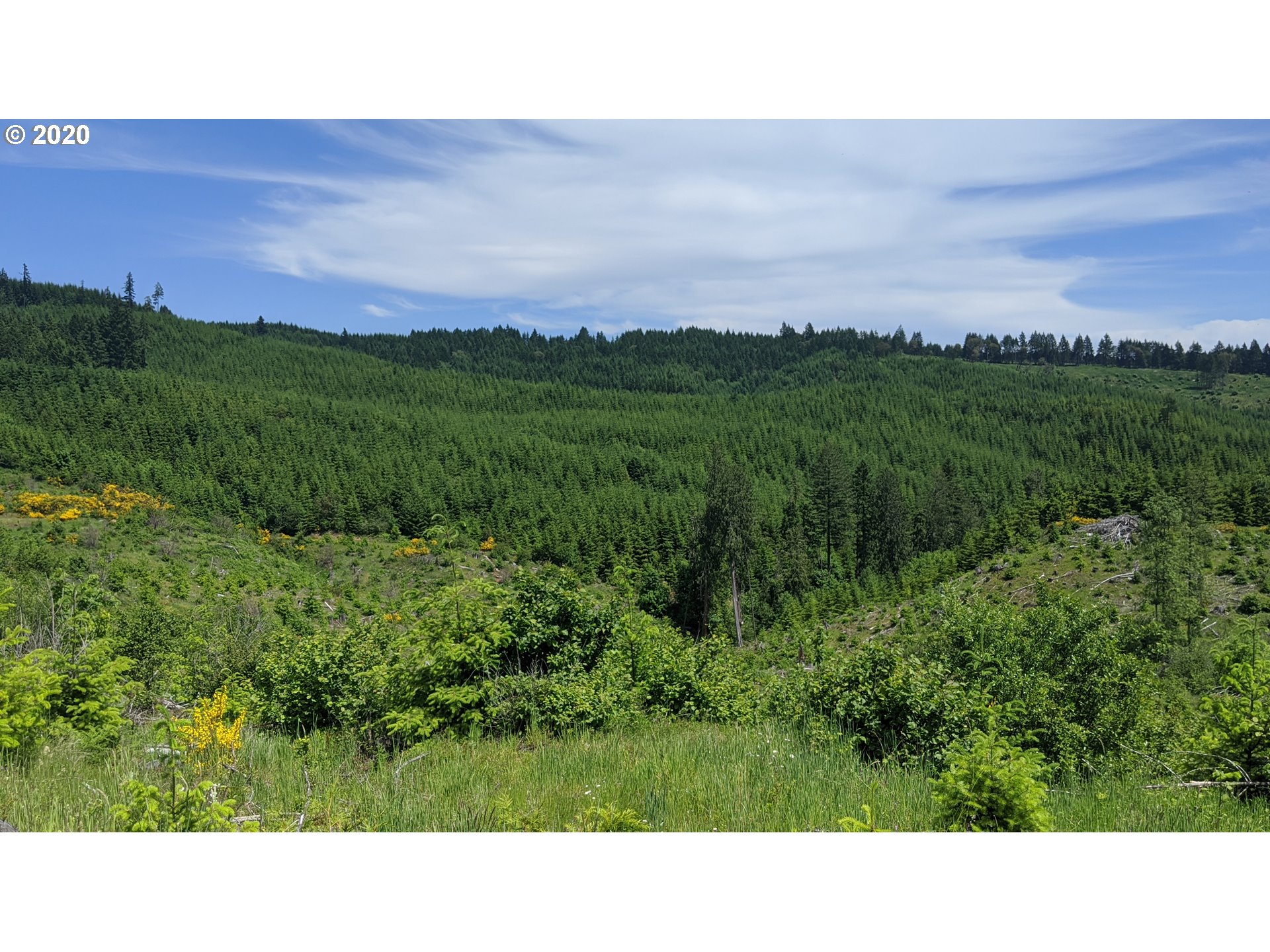 Northwest Timmerman (3) Road Forest Grove, OR 97116 - Photo 1 of 13 Gallery Image 1