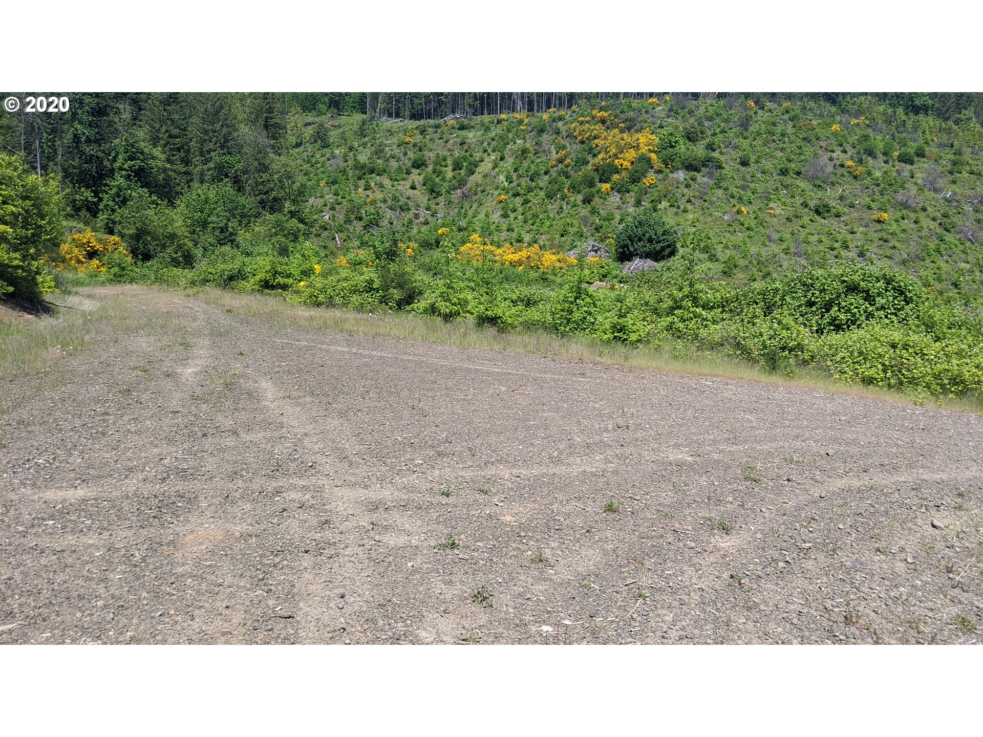 Northwest Timmerman (3) Road Forest Grove, OR 97116 - Photo 12 of 13 Gallery Image 12