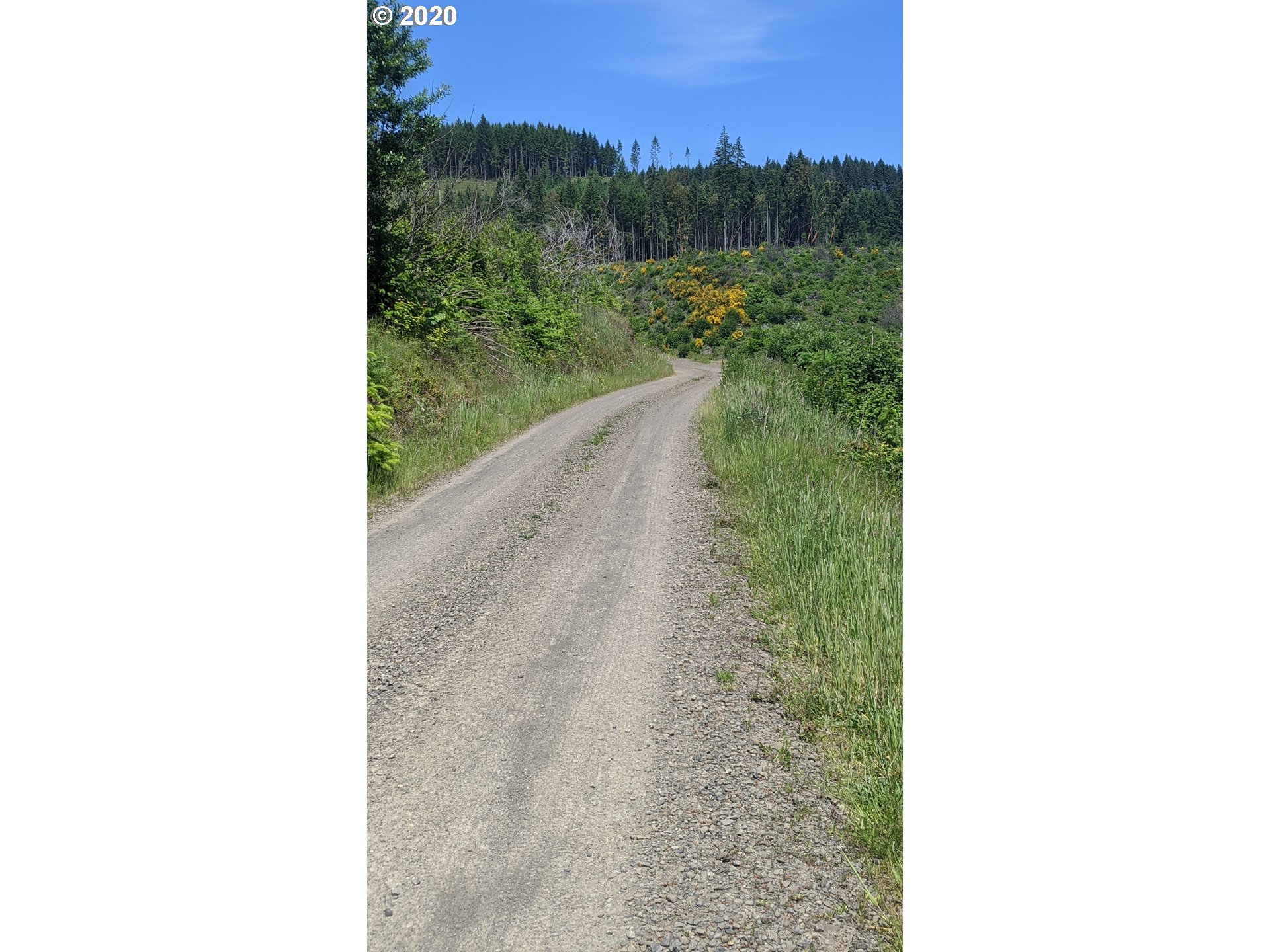 Northwest Timmerman (3) Road Forest Grove, OR 97116 - Photo 6 of 13 Gallery Image 6