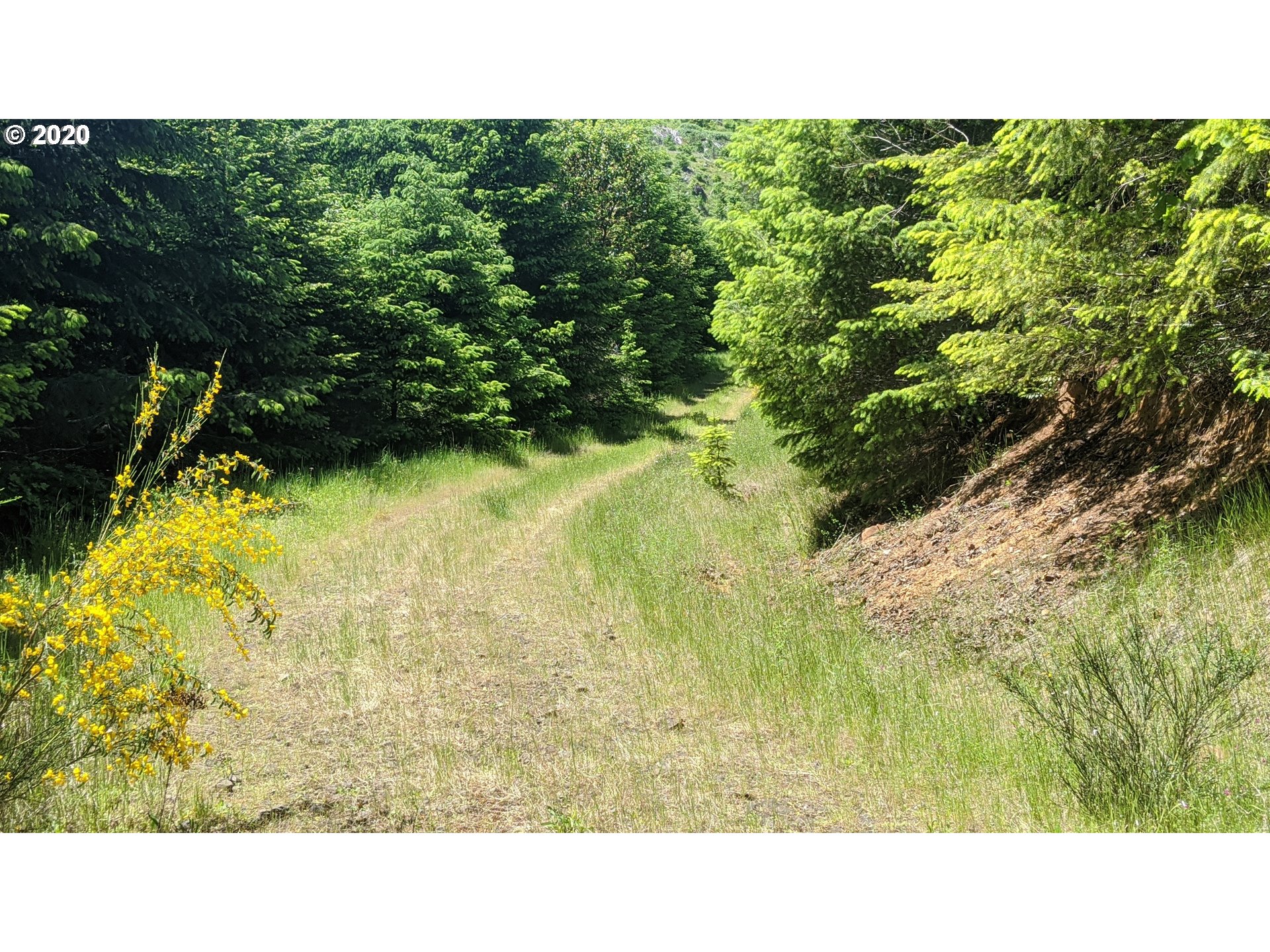 Northwest Timmerman (3) Road Forest Grove, OR 97116 - Photo 8 of 13 Gallery Image 8