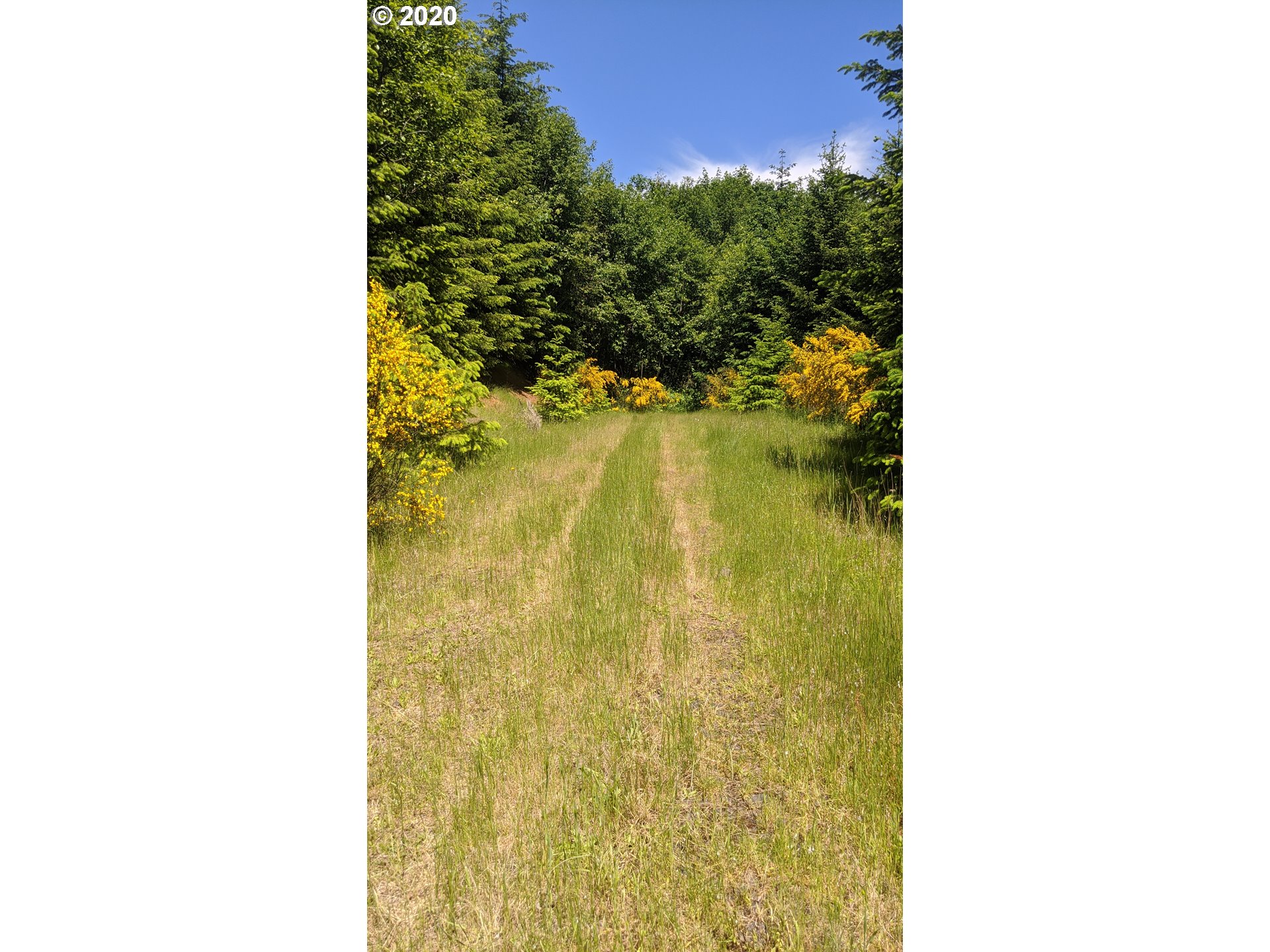 Northwest Timmerman (3) Road Forest Grove, OR 97116 - Photo 9 of 13 Gallery Image 9