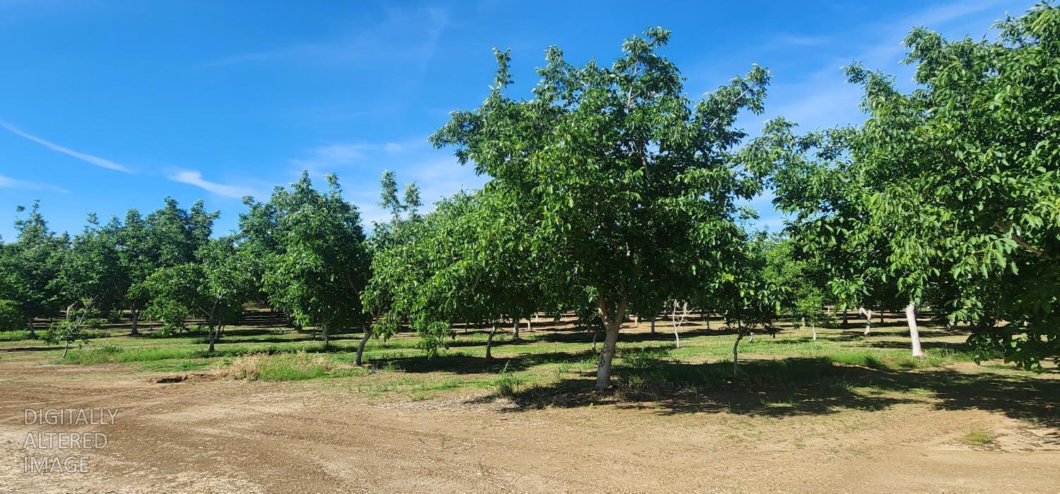 0 George Road Williams, CA 95987 - Photo 1 of 13 a view of a park