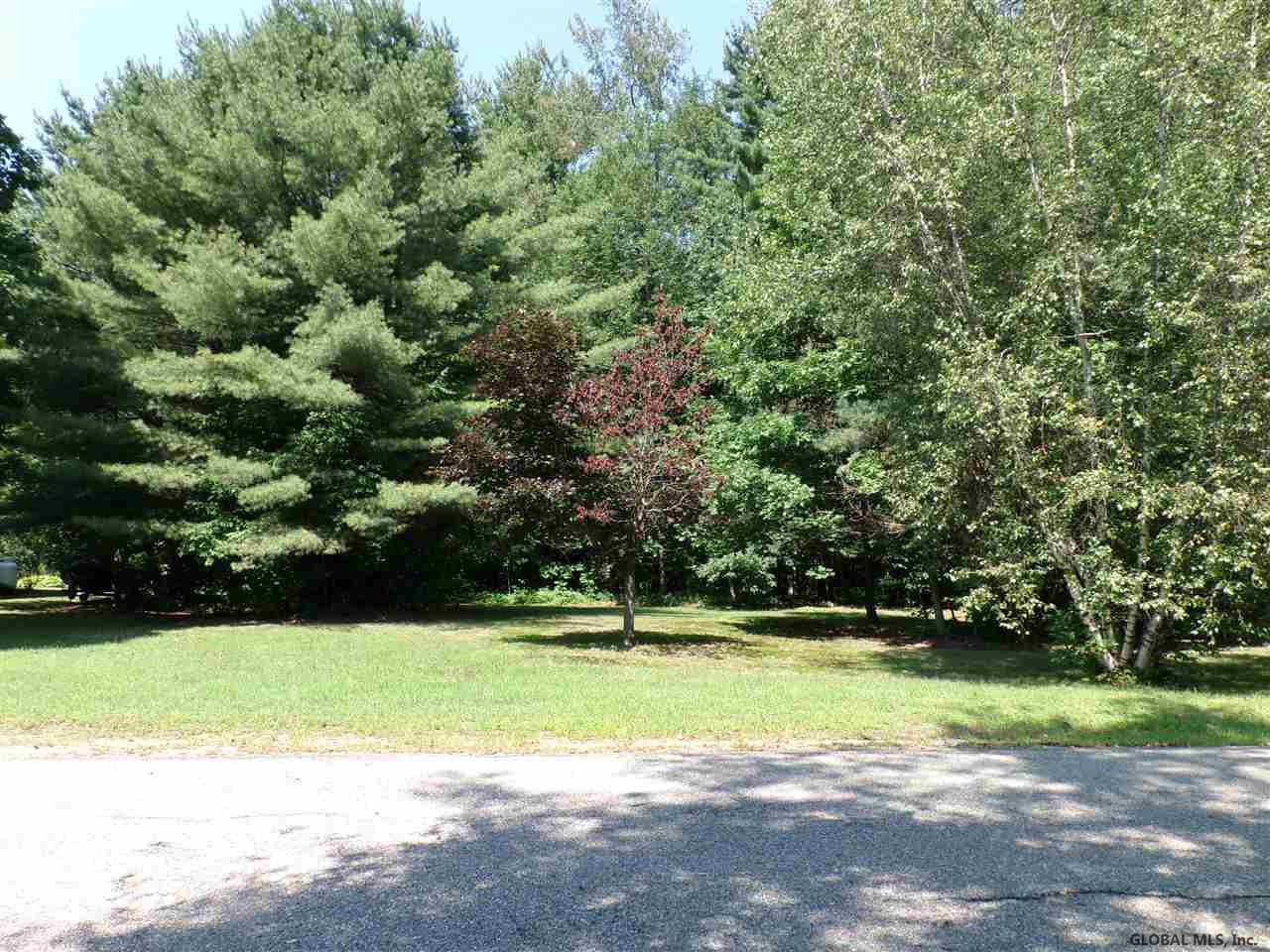0 Juergens Point Road Mayfield, NY 12117 - Photo 2 of 10 Photo 2