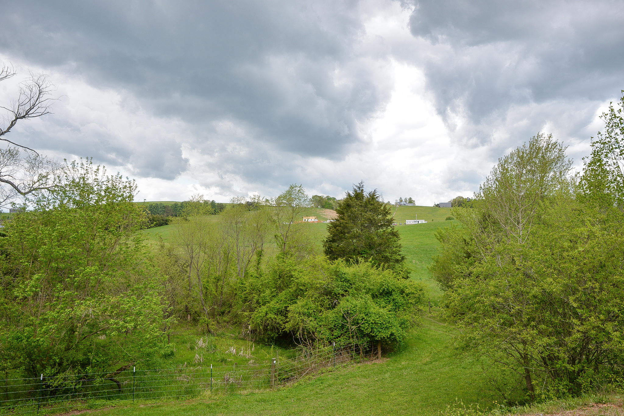 2010 Brown Springs Road Greeneville, TN 37743 - Photo 5 of 6 DSC_8501