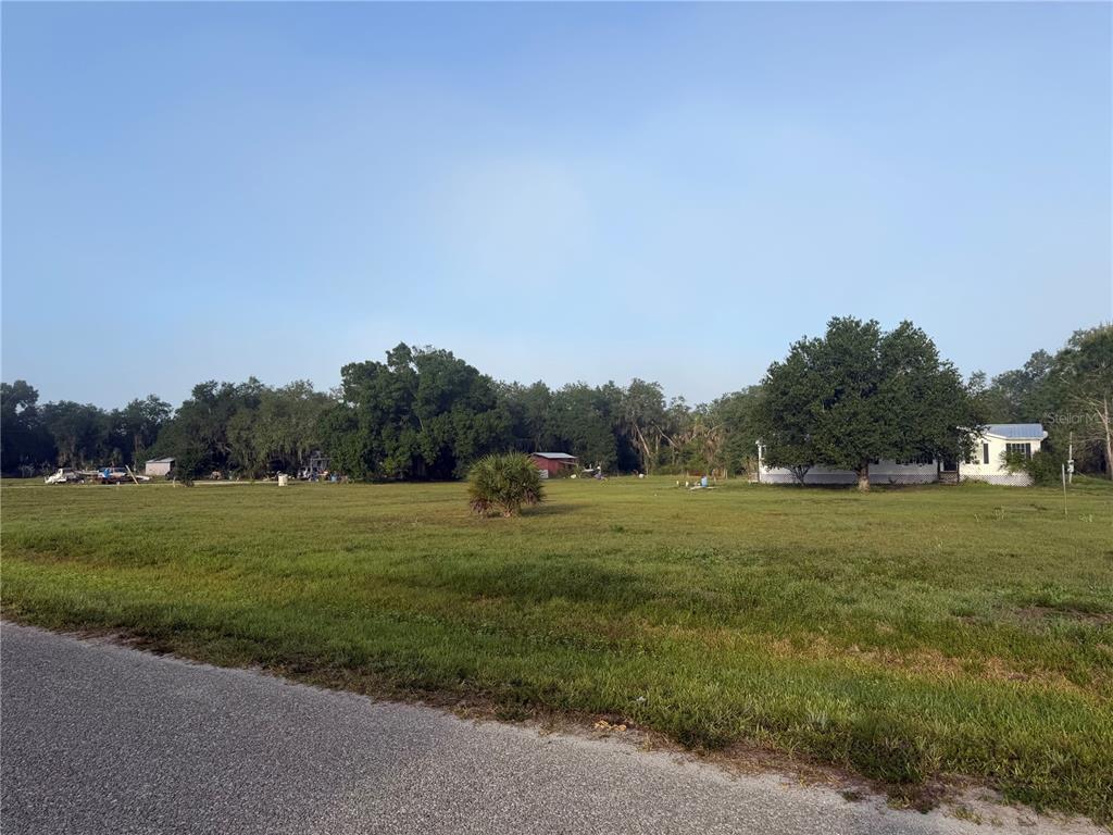 0 Southwest Miami Avenue Arcadia, FL 34266 - Photo 1 of 8 a big yard with lots of green space and deers