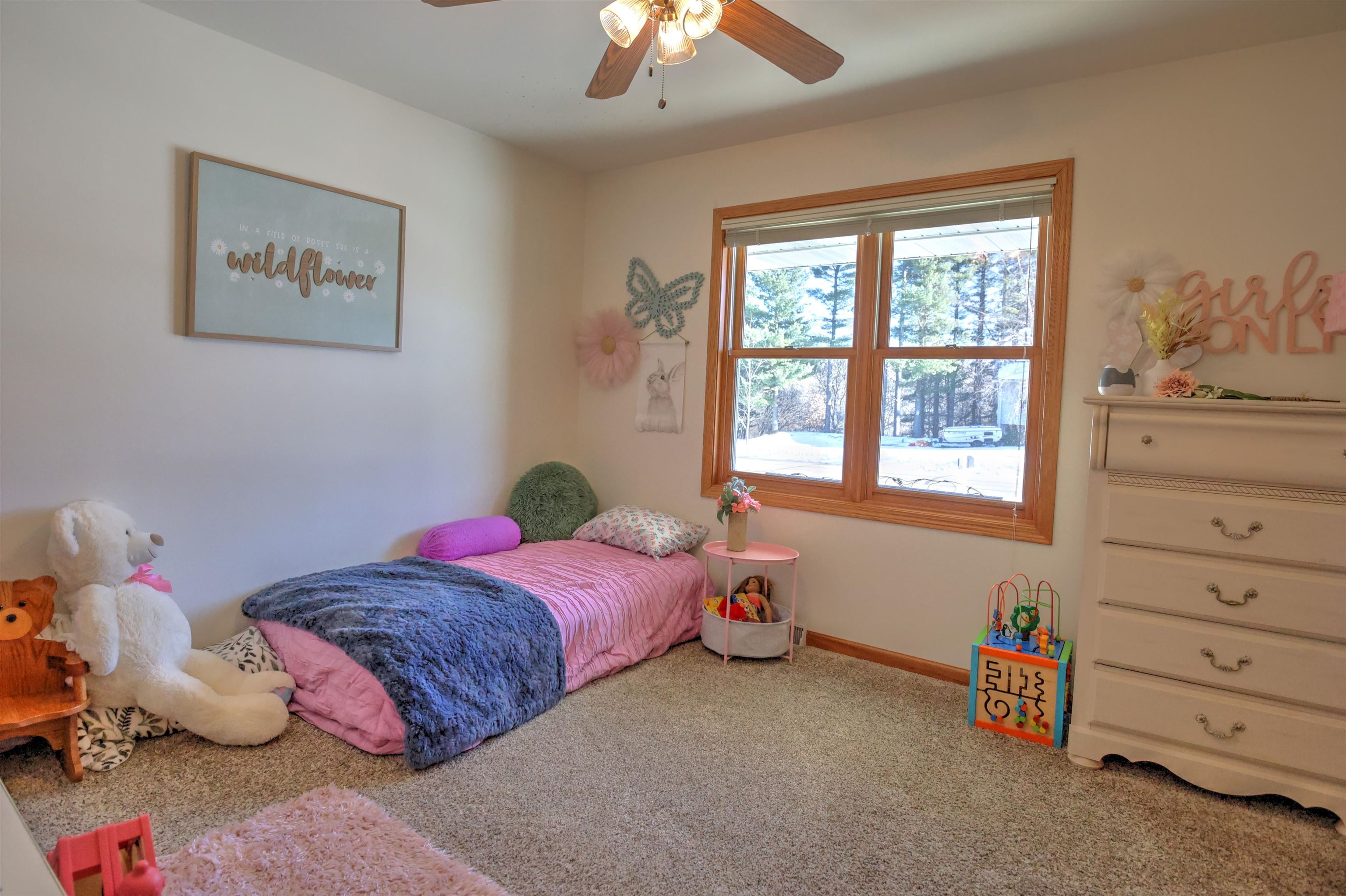 2245 Sunset Drive Reedsburg, WI 53959 - Photo 24 of 28