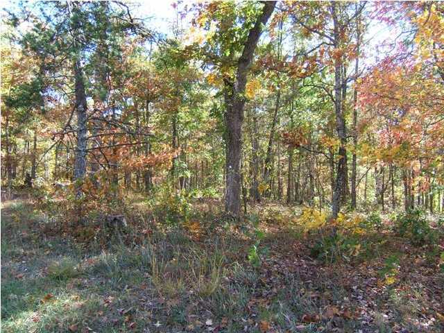 14 Maple Street Dunlap, TN 37327 - Photo 1 of 1 Primary Photo