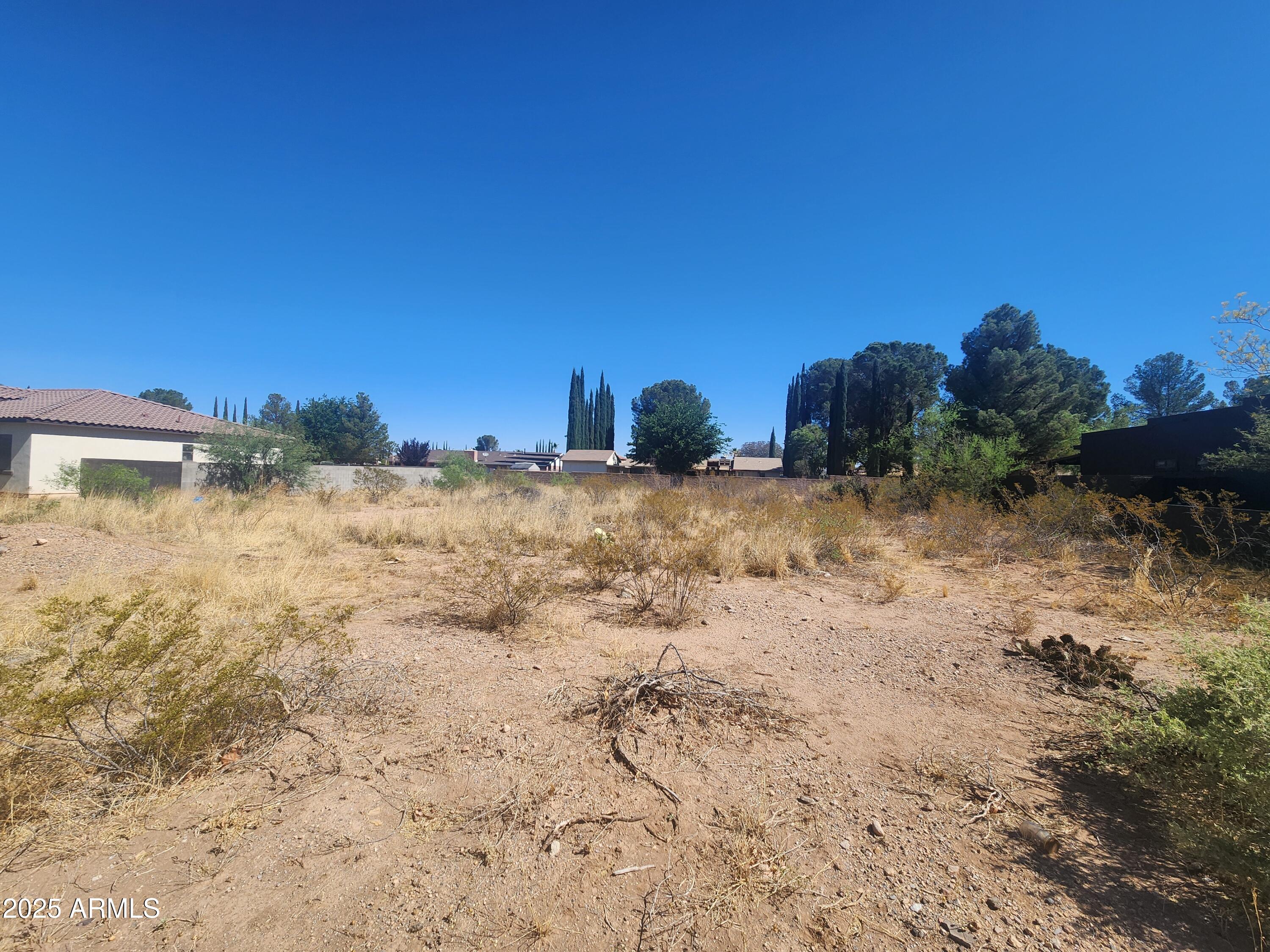 2804 Borane Street, Unit LOT 15 Douglas, AZ 85607 - Photo 4 of 6 a view of a dry yard with trees