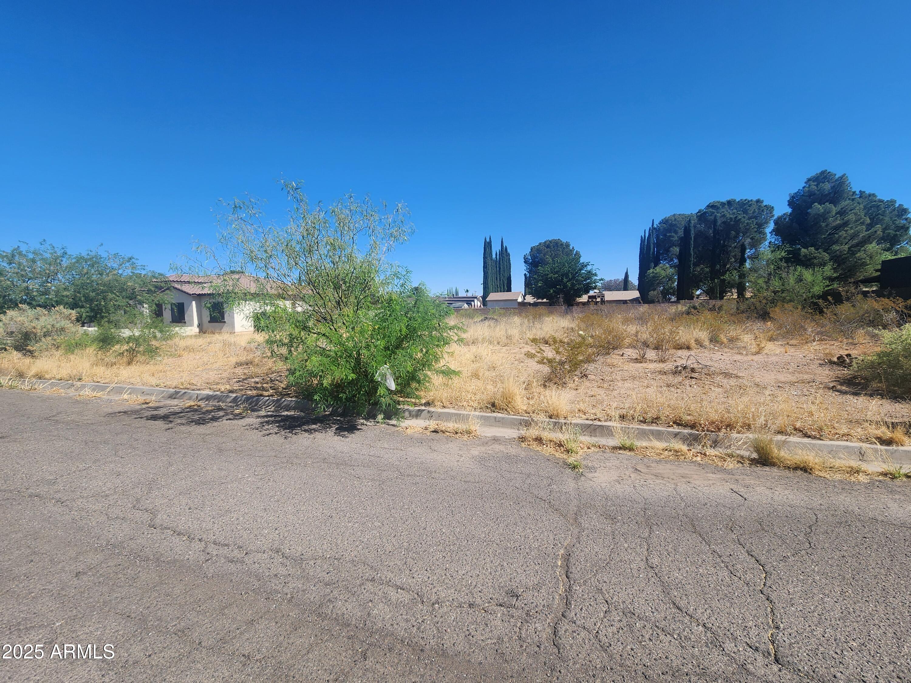 2804 Borane Street, Unit LOT 15 Douglas, AZ 85607 - Photo 5 of 6 a view of a dirt road with a building in the background