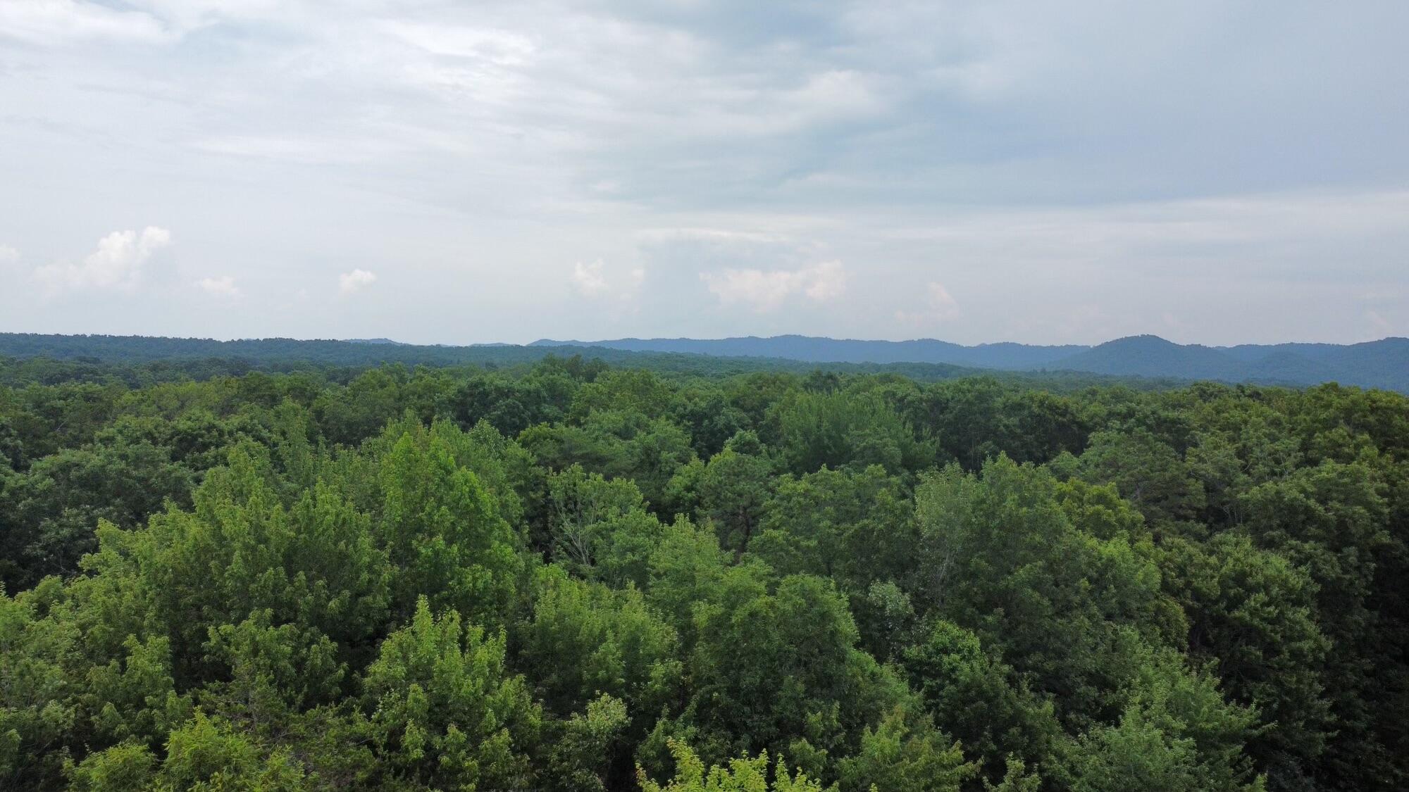 dji_fly_20230704_153404_296_168849925479
