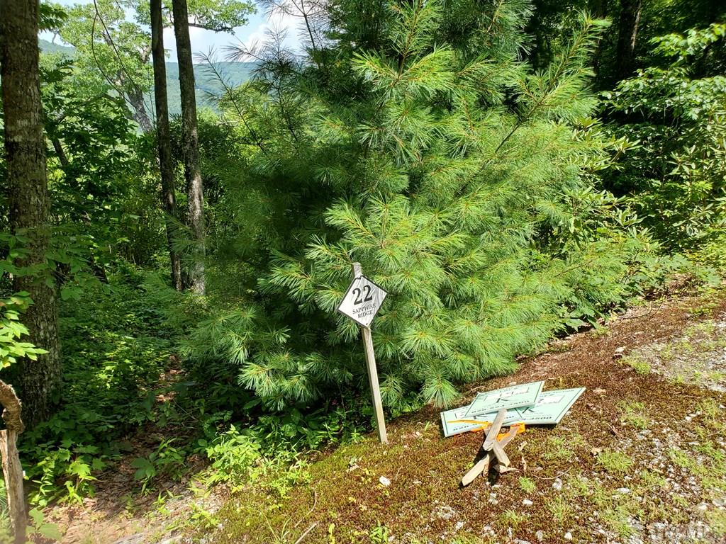 Lot 22 Sapphire Ridge Road Sapphire, NC 28774 - Photo 6 of 9 Gallery Image 6