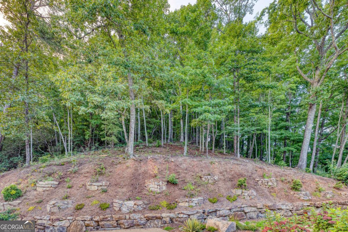 280 Pointe Of View, Unit 15 Blue Ridge, GA 30513 - Photo 19 of 72 a view of a forest filled with trees