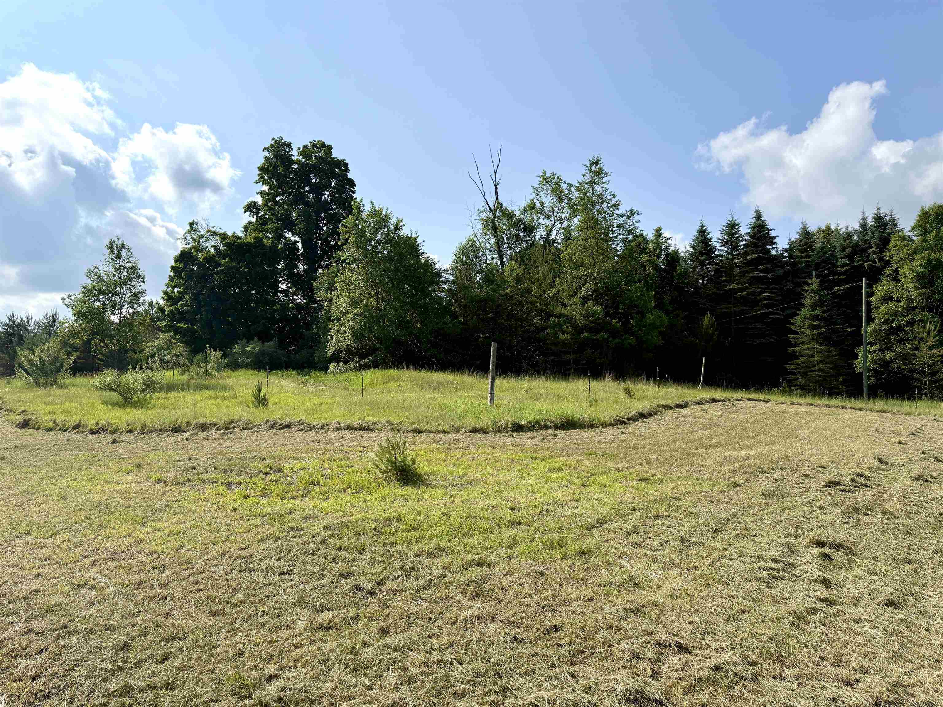 0 North 25 Road Mesick, MI 49668 - Photo 4 of 13